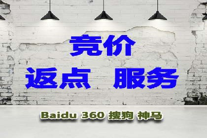 百度SEO推广公司成功案例：助力企业实现流量暴增